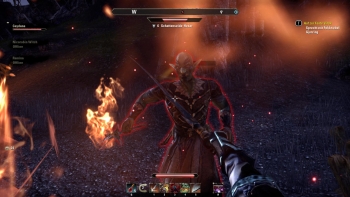The Elder Scrolls Online Screenshot The Elder Scrolls Online Screenshot